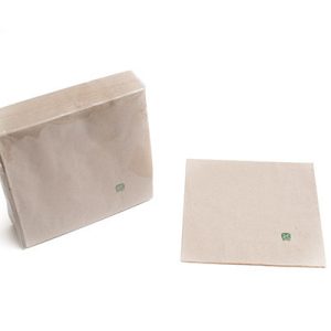 Guardanapos Papel 2 capas ECO