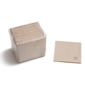 Guardanapos Papel 2 capas ECO