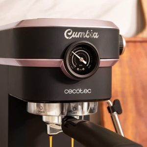 Cafelizzia 890 Rose Pro