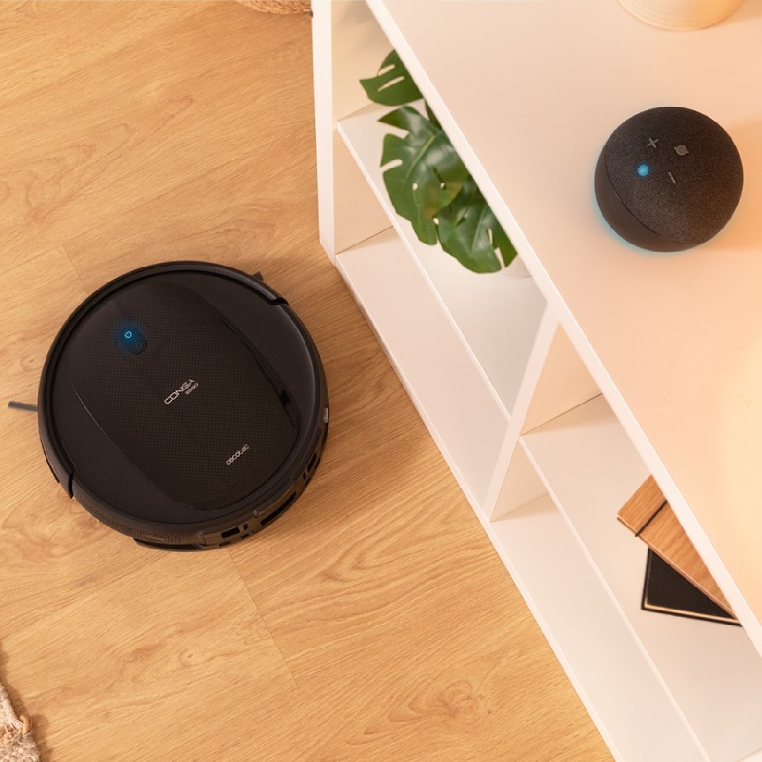 Conga 2290 Titanium - Image 3