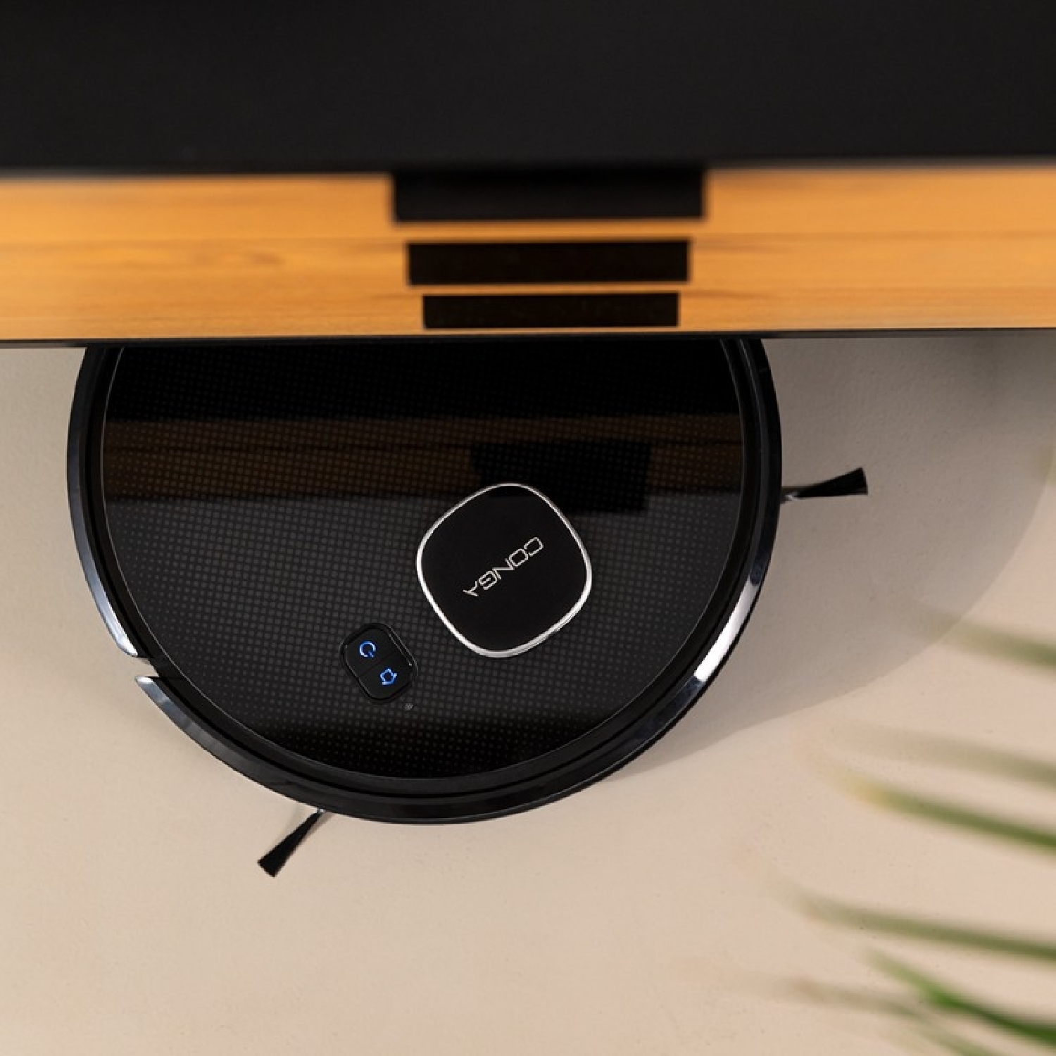 Conga Eternal Max Ultimate - Image 3