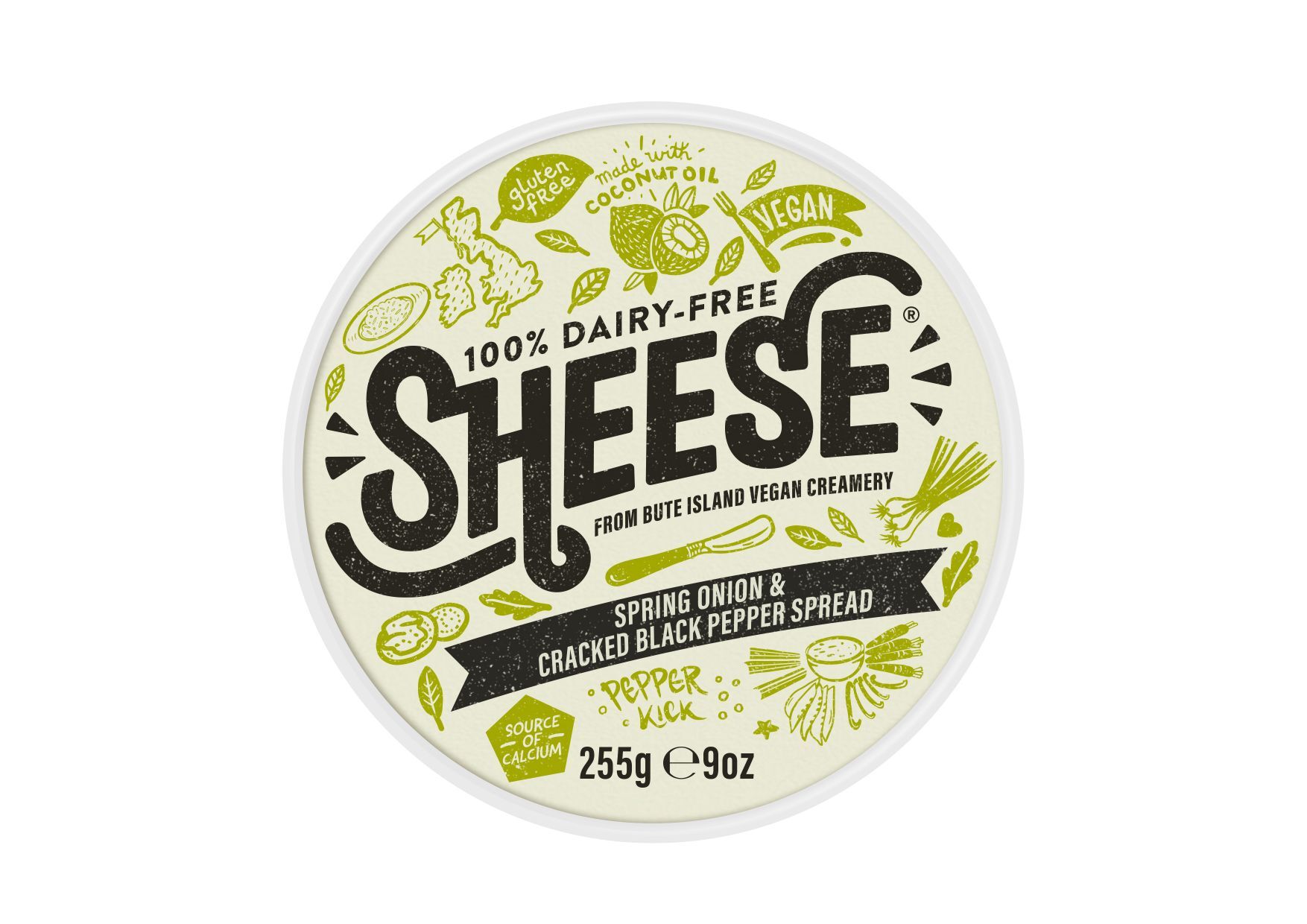 REFRIG QUESO UNTAR CEBOLLA PIMIENTA NEGRA 255 G