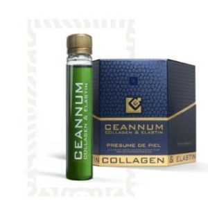 CEANNUM cofre 10amp.