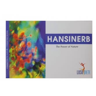 HANSINERB 30amp.