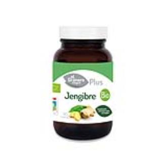 GENGIBRE 500mg. 90cap. BIO