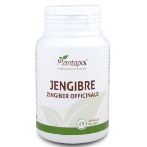 GENGIBRE 600mg. 60cap.