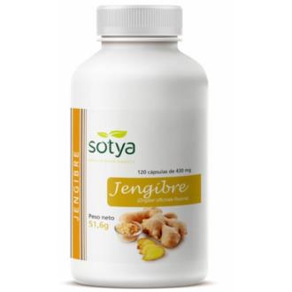 GENGIBRE 120cap.