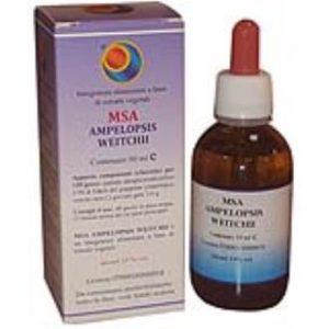 MSA AMPELOPSIS WEITCHII brotos jovens 50ml.