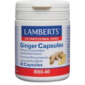 GINGER 12000mg. GENGIBRE 60cap.