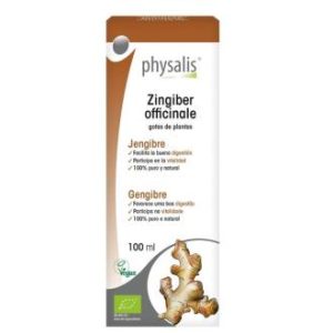GENGIBRE  extracto 100ml. BIO
