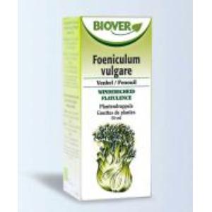 EXT. FOENICULUM VULGARE (funcho) 50ml.