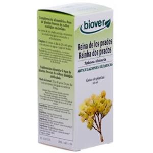 EXT. SPIRAEA ULMARIA (reina dos prados) 50ml.