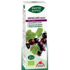 PHYTO-BIPOLE BIO GROSELHA PRETA 50ml.