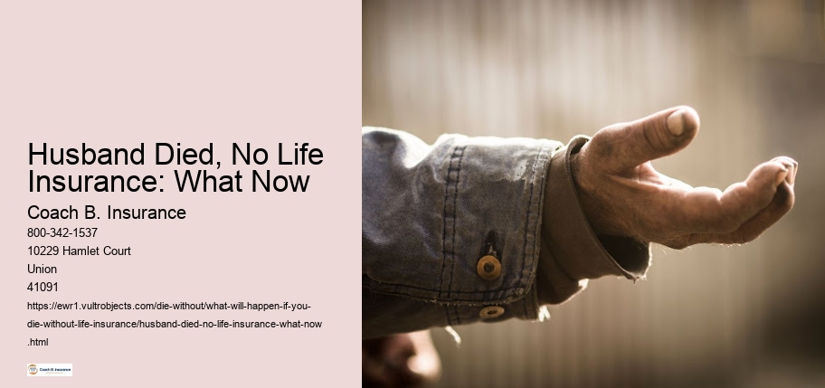 Husband Died, No Life Insurance: What Now