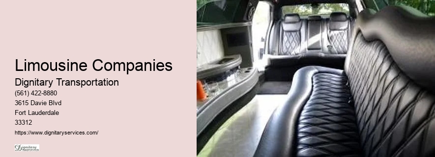 Limousine Companies