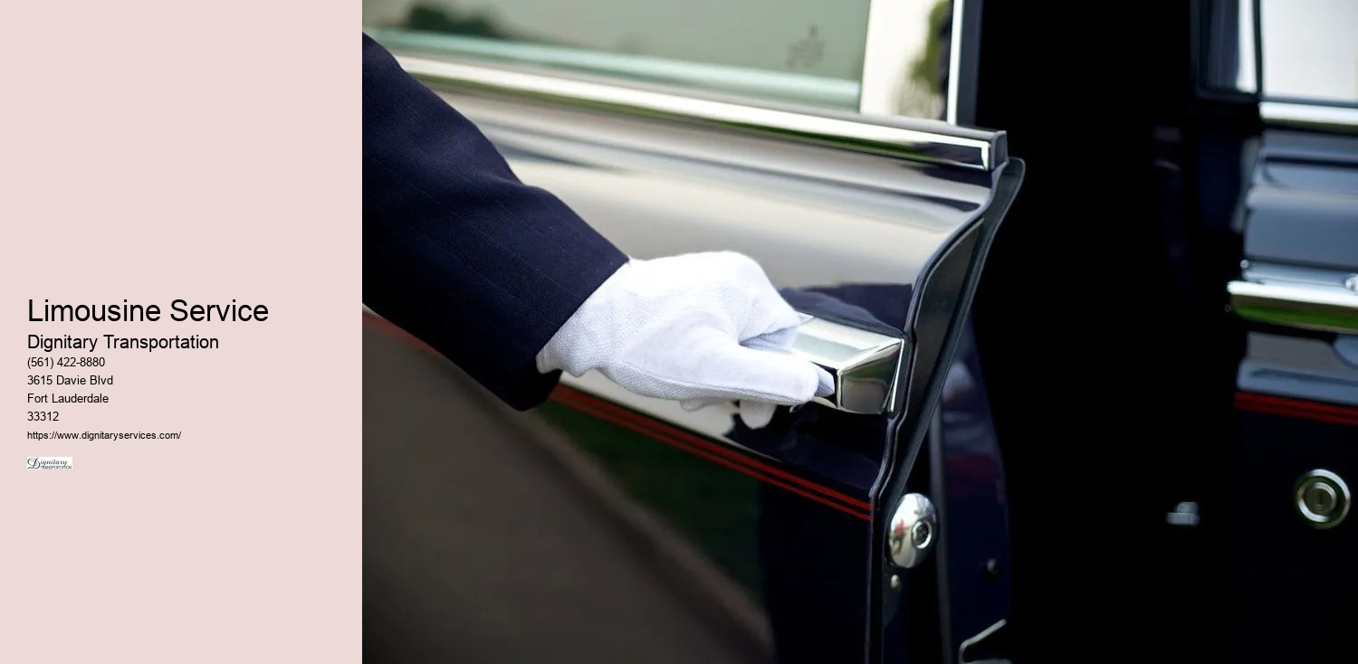 Limousine Service