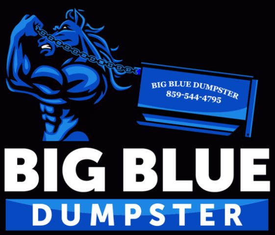 img/bigbluedumpstercollc-logo.jpg