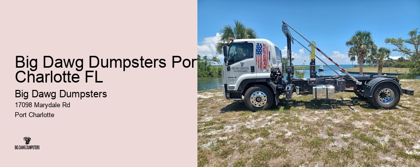 big dawgs hauling junk