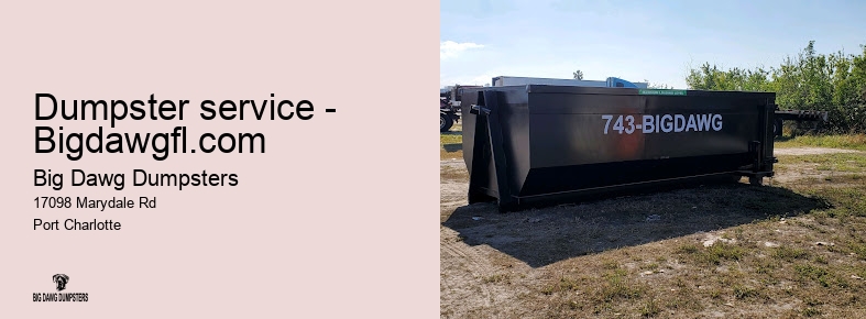 dumpster services bigdawgfl.com