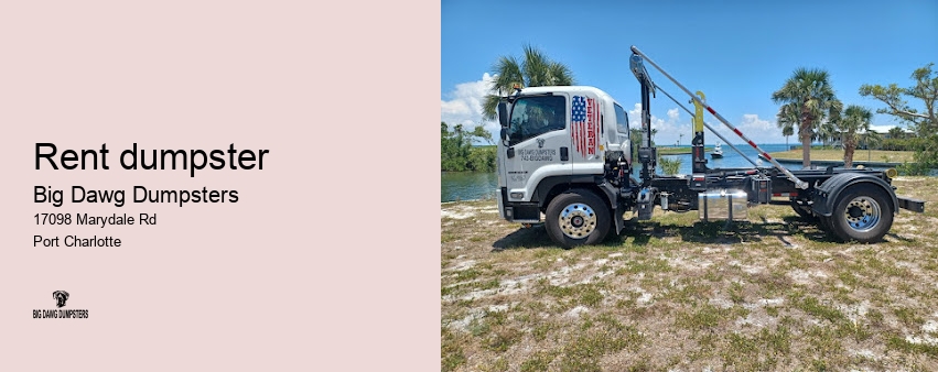 big dumpster rental cost
