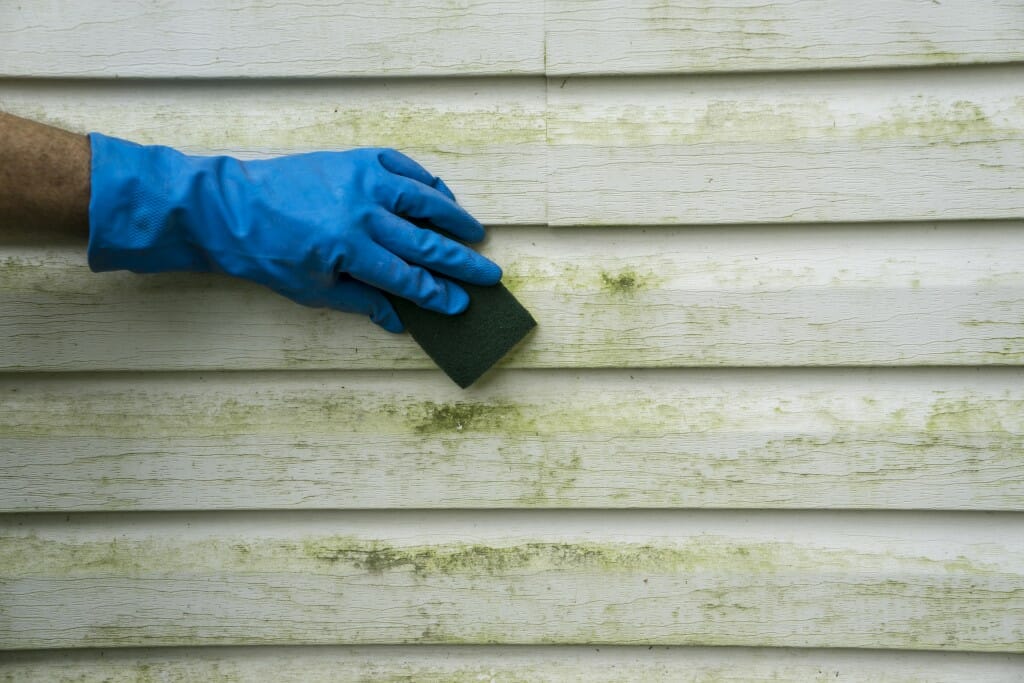 Best Practices for Cleaning Windows and Siding