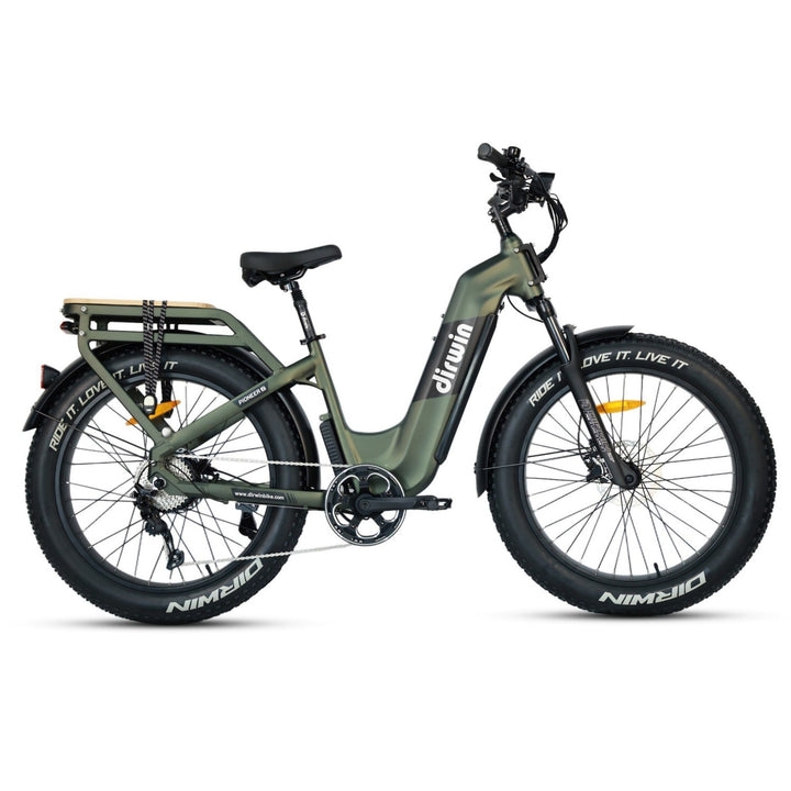 Best Cargo Ebike Setup for Large Dog Carriers Dirwin Bike Best Cargo Ebike Setup for Large Dog Carriers