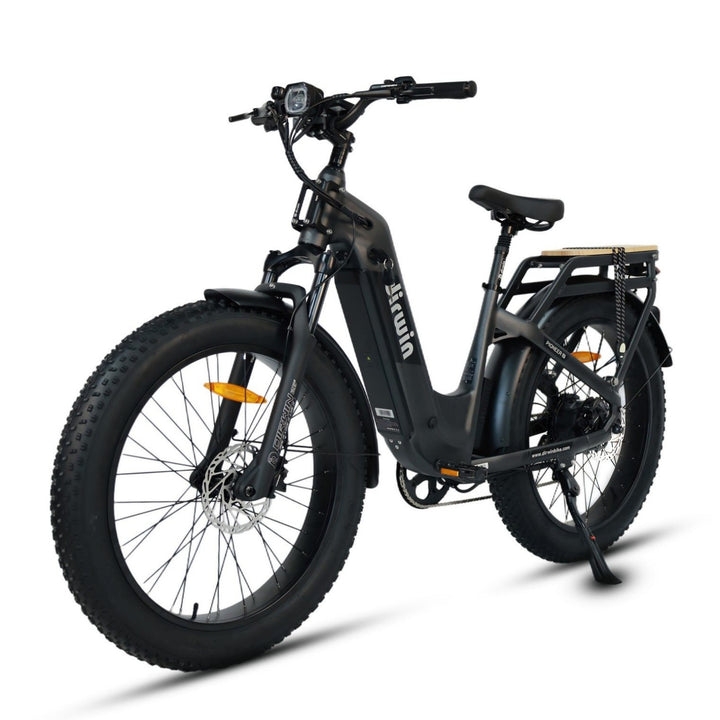 High-Capacity Electric Bikes for Heavy-Duty Transport Dirwin Bike High-Capacity Electric Bikes for Heavy-Duty Transport