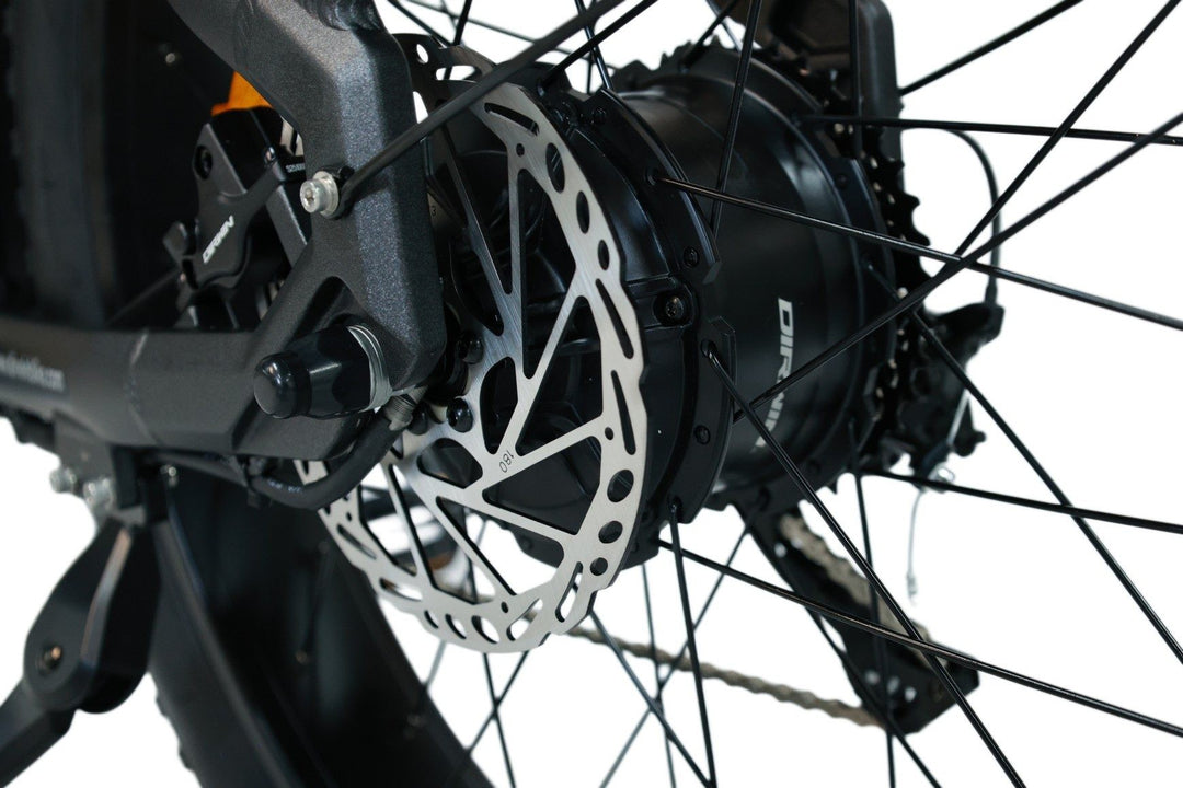 Are cargo ebikes eco-friendly?