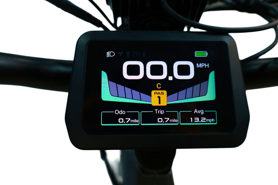 How do I choose the right cargo ebike for my needs?