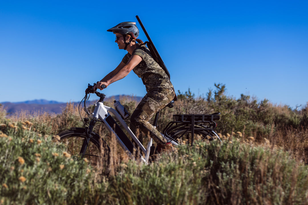 Dirwin eBikes for Quiet Game Approach