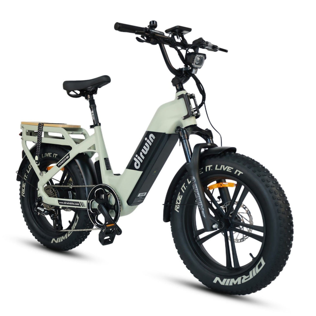 Are Dirwin hunting eBikes easy to assemble locally?