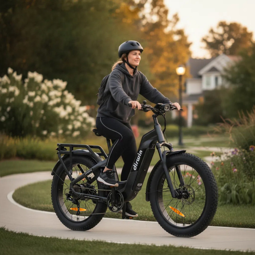 Dirwin Hunting eBikes with XL TFT Displays