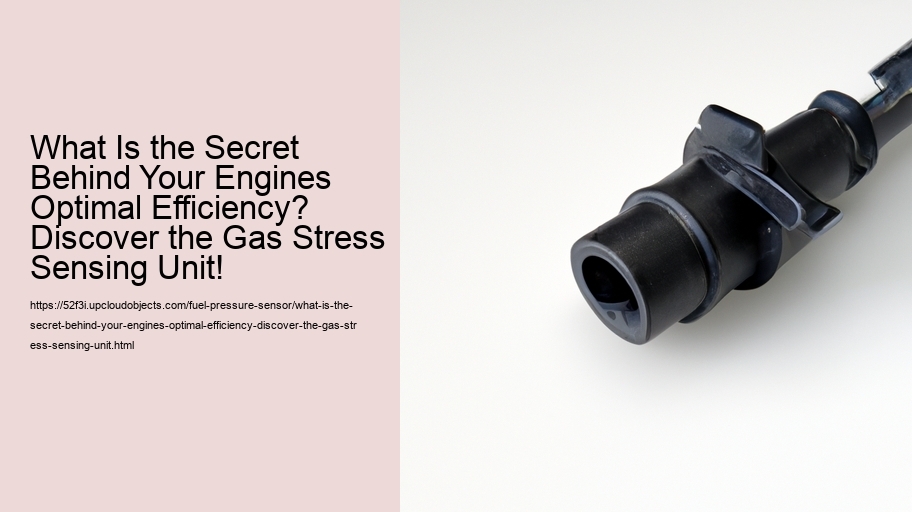 What Is the Secret Behind Your Engines Optimal Efficiency? Discover the Gas Stress Sensing Unit!