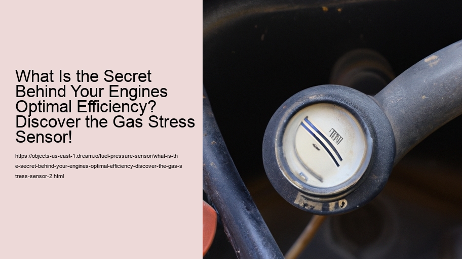 What Is the Secret Behind Your Engines Optimal Efficiency? Discover the Gas Stress Sensor!