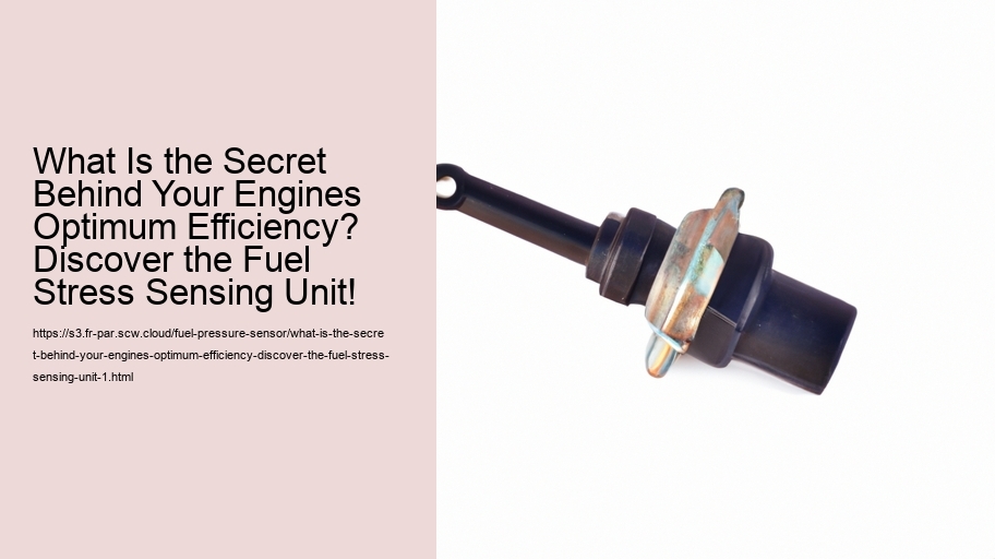 What Is the Secret Behind Your Engines Optimum Efficiency? Discover the Fuel Stress Sensing Unit!