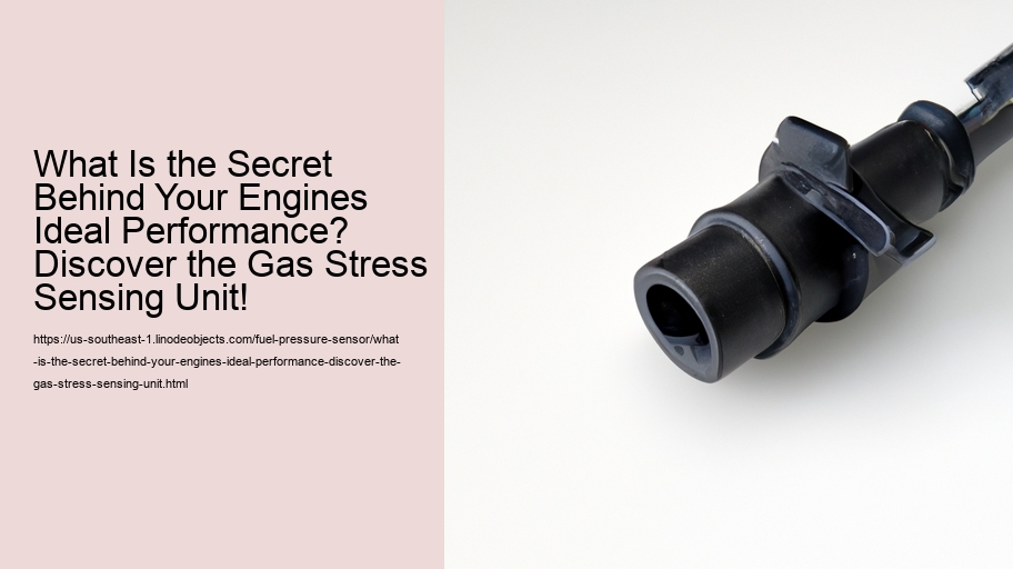 What Is the Secret Behind Your Engines Ideal Performance? Discover the Gas Stress Sensing Unit!