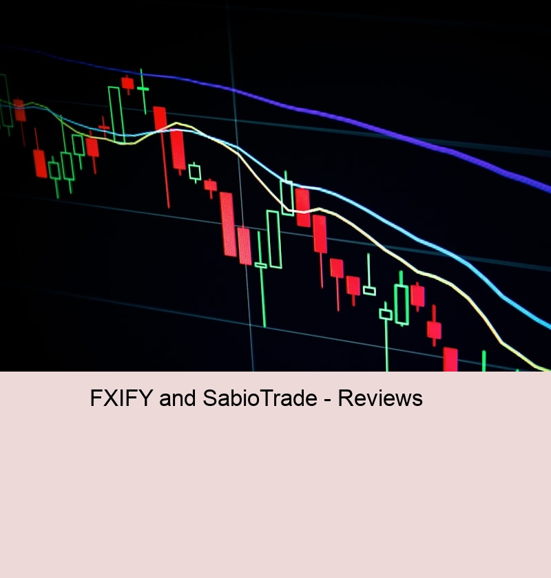 User Experience and Platform Usability