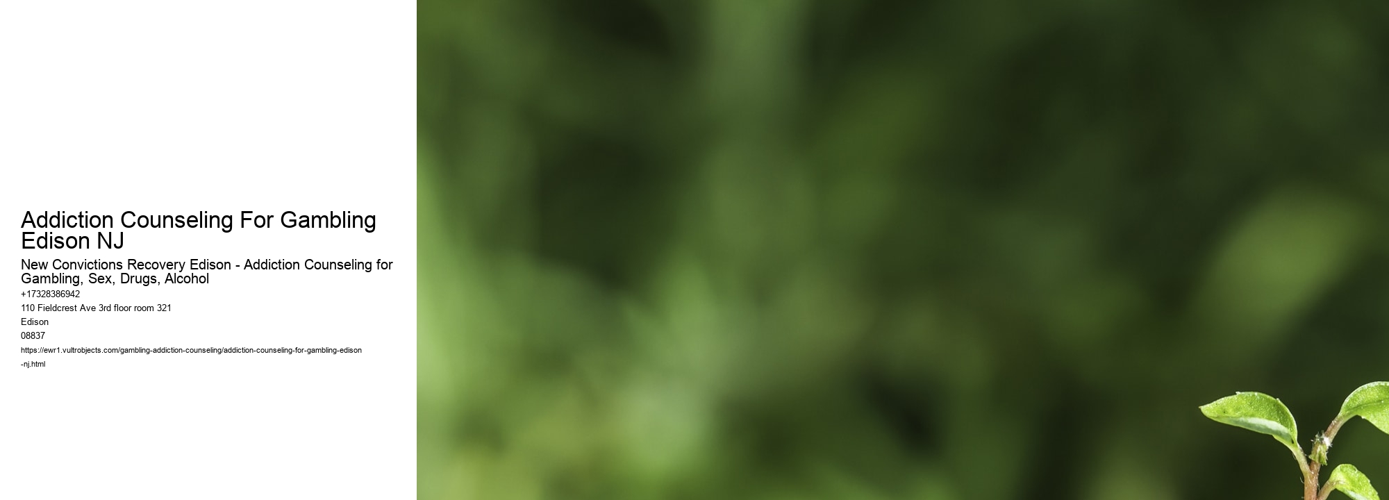 Addiction Counseling For Gambling Edison NJ