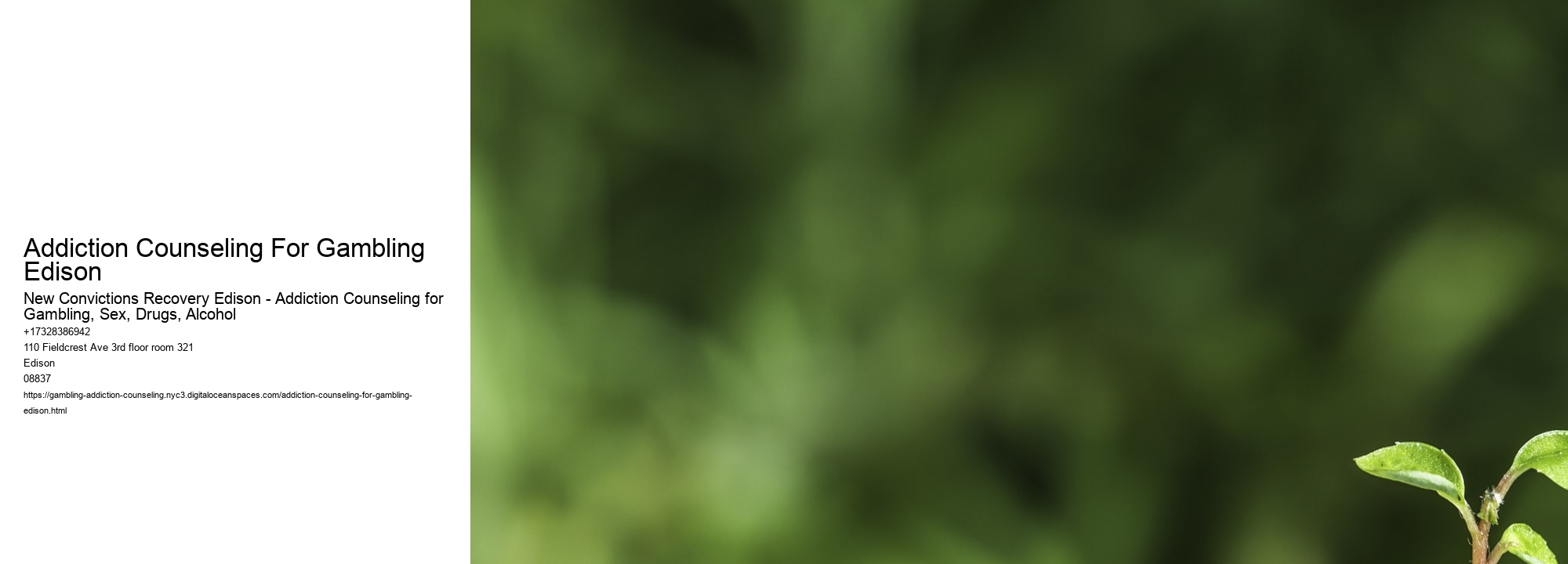 Addiction Counseling For Gambling Edison