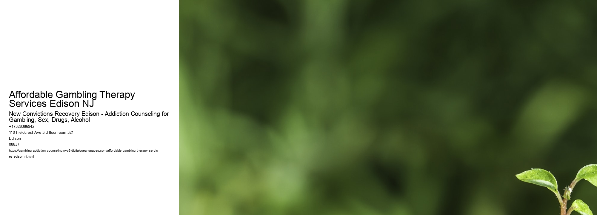 Affordable Gambling Therapy Services Edison NJ