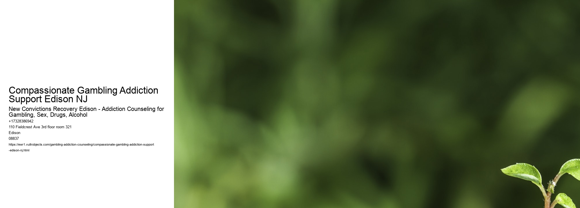 Compassionate Gambling Addiction Support Edison NJ