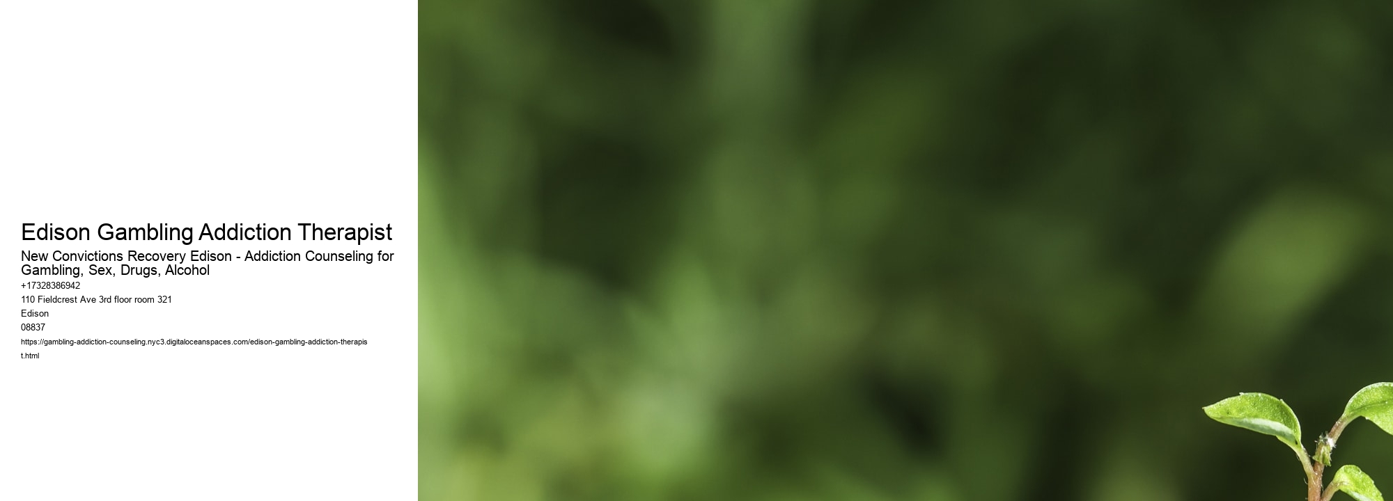 Edison Gambling Addiction Therapist