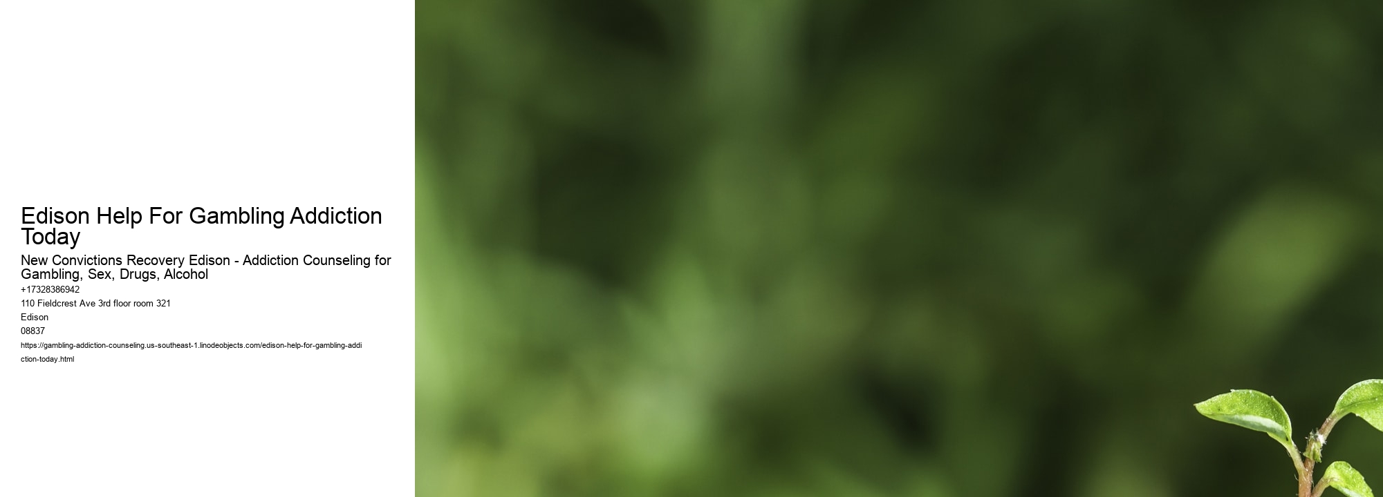 Edison Help For Gambling Addiction Today