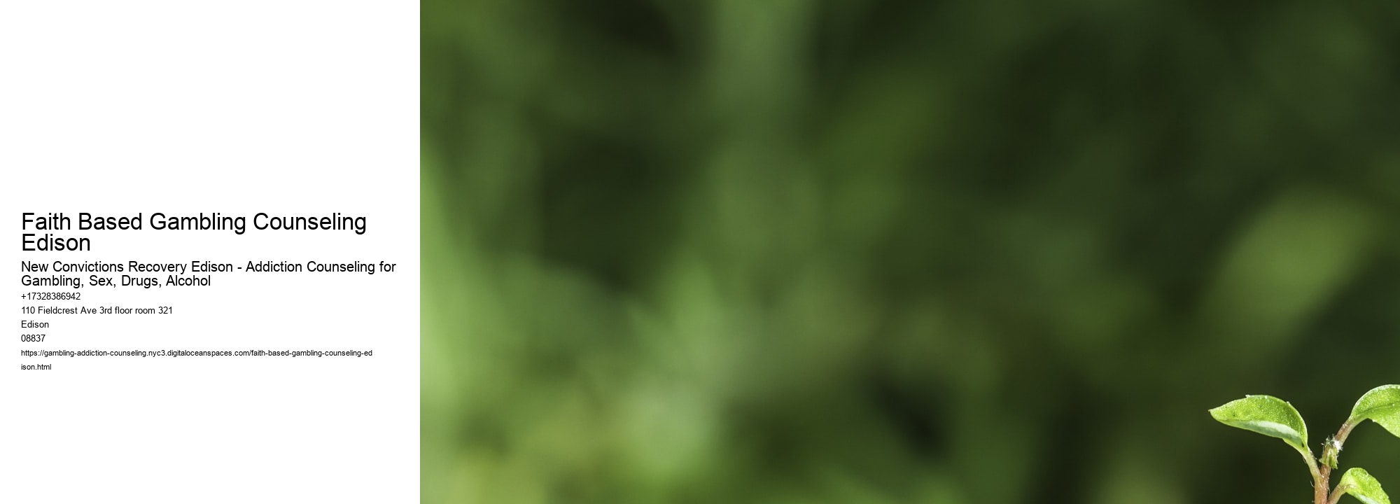 Faith Based Gambling Counseling Edison