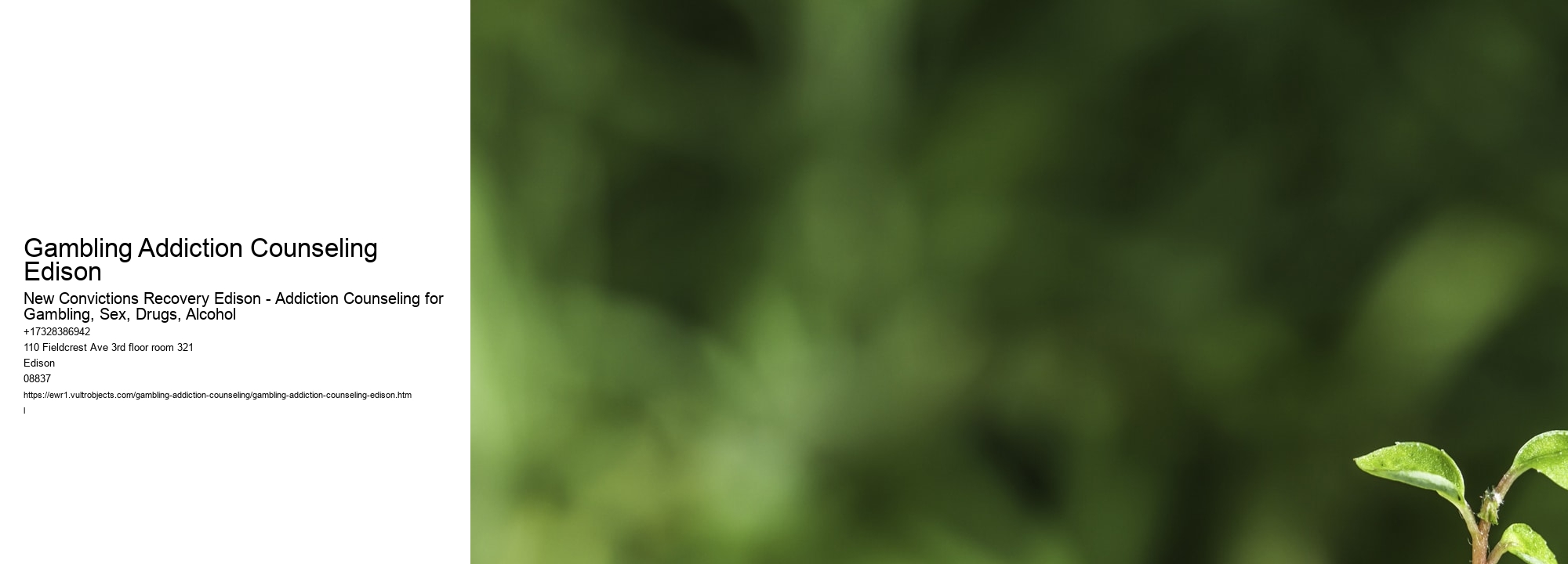 Gambling Addiction Counseling Edison