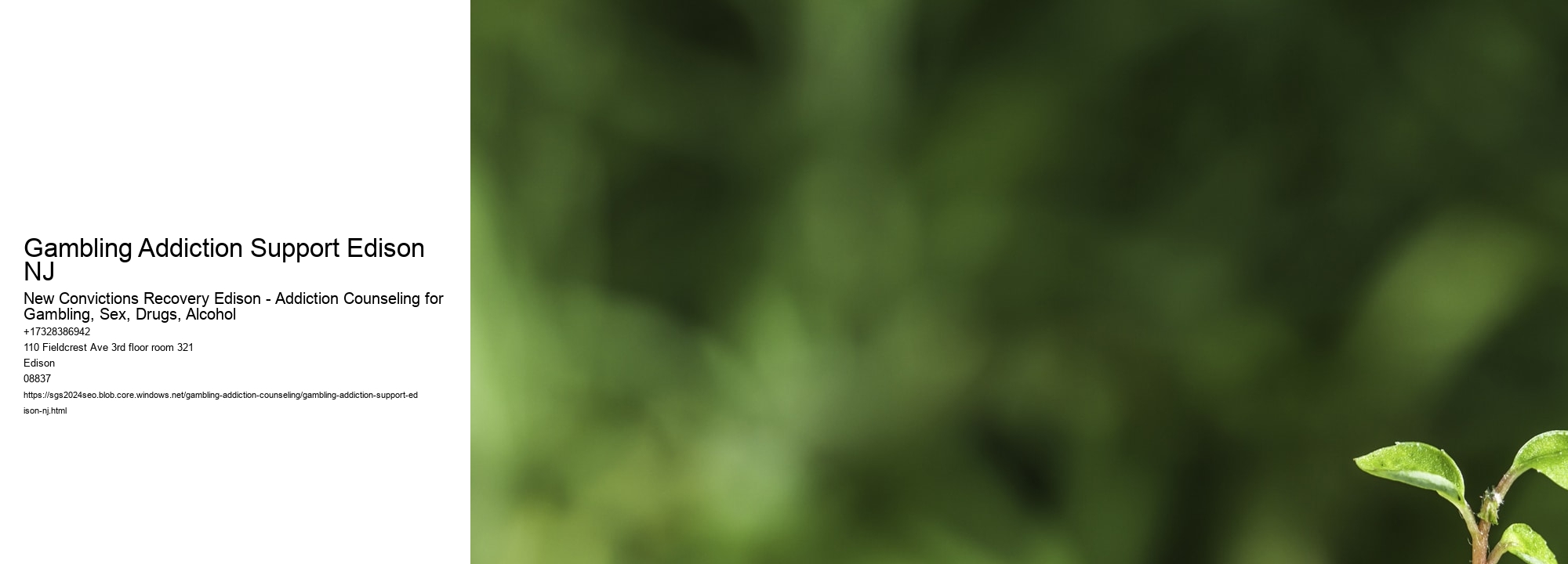 Gambling Addiction Support Edison NJ