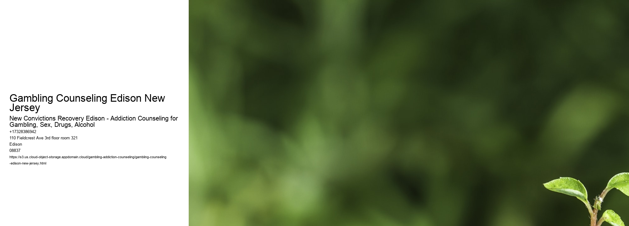 Gambling Counseling Edison New Jersey