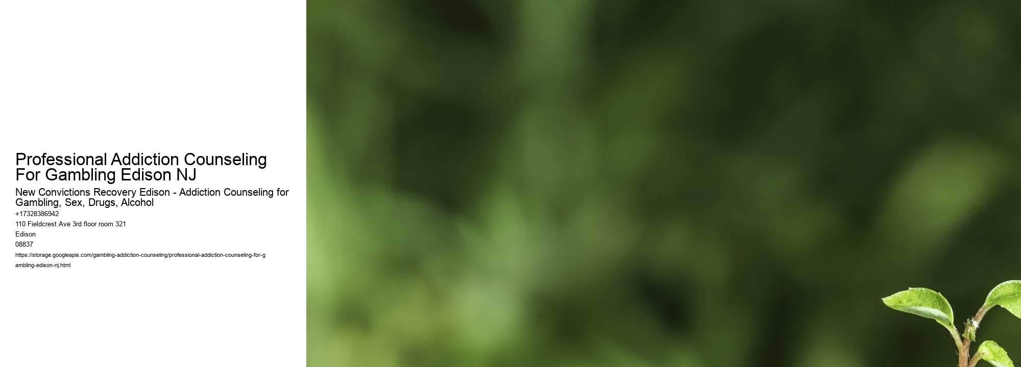 Professional Addiction Counseling For Gambling Edison NJ