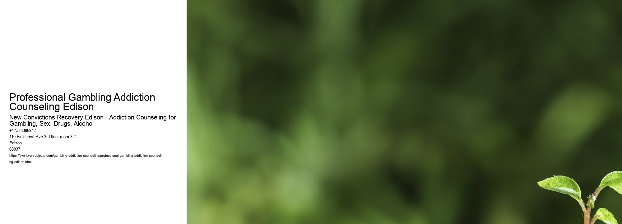 Professional Gambling Addiction Counseling Edison