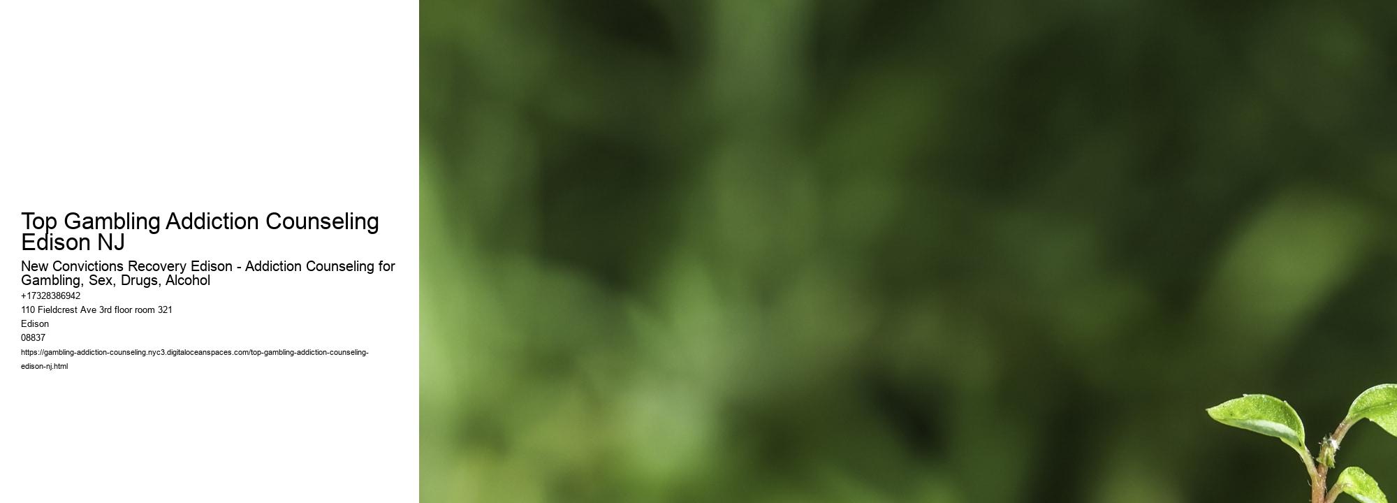 Top Gambling Addiction Counseling Edison NJ